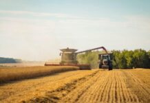 На Вінниччині зібрали 8% ранніх зернових: врожайність перевищує минулорічну