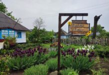 В Оксанівці на Вінниччині створили унікальну українську світлицю з етно-садибою