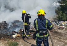 На Вінниччині згоріло понад 5 гектарів сухостою