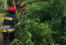 Рятувальники ліквідували наслідки негоди у Літинській громаді та Вінниці