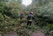 На Вінниччині рятувальники шість разів виїжджали на ліквідацію наслідків негоди