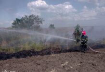 На Вінниччині за добу пожежі знищили понад 2 гектари землі