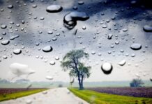 Штормове попередження у Вінниці: оголошено «жовтий» рівень небезпеки