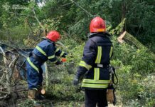 Негода наробила лиха: рятувальники Вінниччини працювали у восьми громадах області
