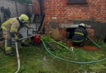 На Вінниччині негода валила дерева та підтопила подвір’я