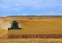 Через дощі аграрії Вінниччини зібрали менше 10% зернових