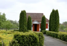 Мала батьківщина Грушевського: як Сестринівка на Вінниччині зростила духовного лідера нації