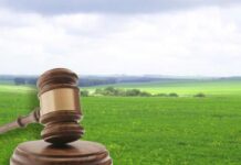 У серпні у Вінниці проведуть шість земельних аукціонів