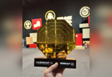 Вінничани тріумфують на чемпіонаті світу з ММА: вісім медалей у скарбничці області