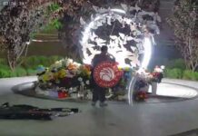 Поліція розшукує жінку, яка вночі забрала квіти зі Скверу пам’яті у Вінниці