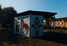 Заквітчані Іванівці: як художники перетворили село на витвір мистецтва