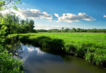 На Вінниччині підприємець незаконно користувався 280 гектарами водойми