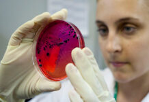 Спалах сальмонельозу в Калинівці: 29 постраждалих, серед них — діти