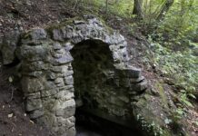 Урочище Княгиня на Вінниччині – унікальні “міні-Карпати” Поділля