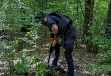 У лісі біля Браїлова знешкодили боєприпаси Другої світової