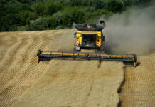 На Вінниччині намолотили понад 1,3 мільйона тонн зерна нового врожаю