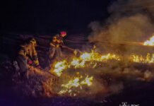 На Вінниччині надзвичайники за добу ліквідували дев’ять пожеж