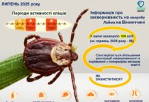 На Вінниччині зростає кількість випадків хвороби Лайма: дані за липень 2025 року