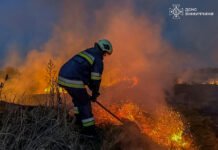 На Вінниччині рятувальники ліквідували п’ять пожеж на відкритих територіях