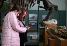 Квест «Мандрівники у часі» відбудеться у Вінницькому краєзнавчому музеї