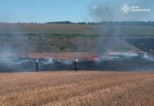 На Вінниччині рятувальники ліквідували вісім пожеж на відкритих територіях