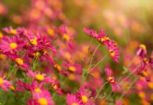 Погода у Вінниці на суботу, 30 серпня