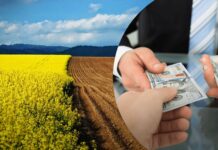 На Вінниччині викрили схему незаконного відчуження майже 50 гектарів землі