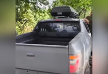 «Щит від дронів»: військові отримали РЕБ від нардепа Кучера