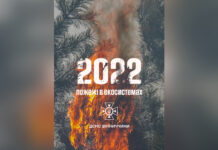 На Вінниччині за рік зафіксували понад 2 тисячі пожеж у екосистемах
