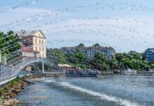 Серпень на Вінниччині: нові екскурсії, поїздки та майстеркласи від Офісу туризму