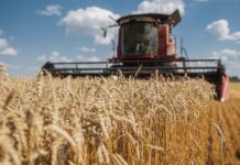 Аграрії Вінниччини активно продовжують жнива — 2025: урожайність зросла