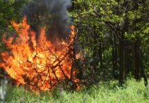 На Вінниччині оголосили попередження про надзвичайну пожежну небезпеку