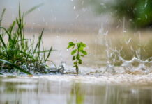 Погода у Вінниці 24 серпня