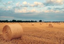 Погода у Вінниці 2 вересня: сонячно та без опадів