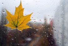 У Вінниці 29 вересня очікується хмарний день із дощем