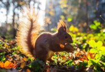 У Вінниці 25 вересня очікується ясна погода