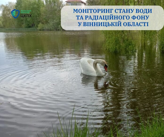 539958861_122201596676283301_2182640512668699336_n