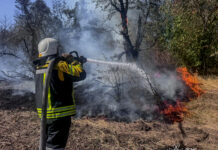 На Вінниччині вогонь знищив 2,5 га сухостою та господарську будівлю