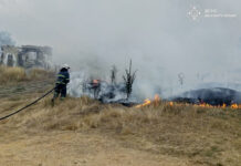 На Вінниччині горів гектар сухостою та автомобіль