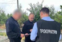 На Вінниччині посадовцям лісництва оголосили підозри за незаконну вирубку дерев у Нацпарку