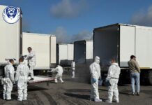 В Україну повернули 1000 тіл військових: починається ідентифікація