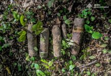 На Вінниччині знешкодили п’ять артилерійських снарядів часів Другої світової війни