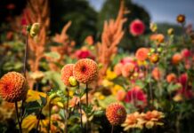 Погода у Вінниці 26 вересня: сонячний день без опадів