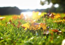 Погода у Вінниці на 11 вересня: похмурий день без опадів