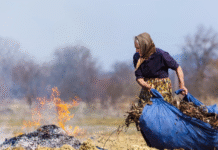 У Вінниці склали 19 протоколів за підпали сухої трави