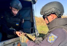 На Вінниччині знищили гранату часів Другої світової війни