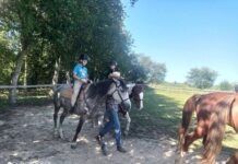 Діти зі Станіславчицької громади відвідали кінну ферму