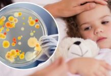 На Вінниччині зареєстровано 88 випадків захворювань на гострі кишкові інфекції