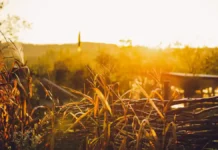 Прогноз погоди у Вінниці на 7 вересня