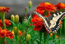 Прогноз погоди у Вінниці на суботу, 27 вересня